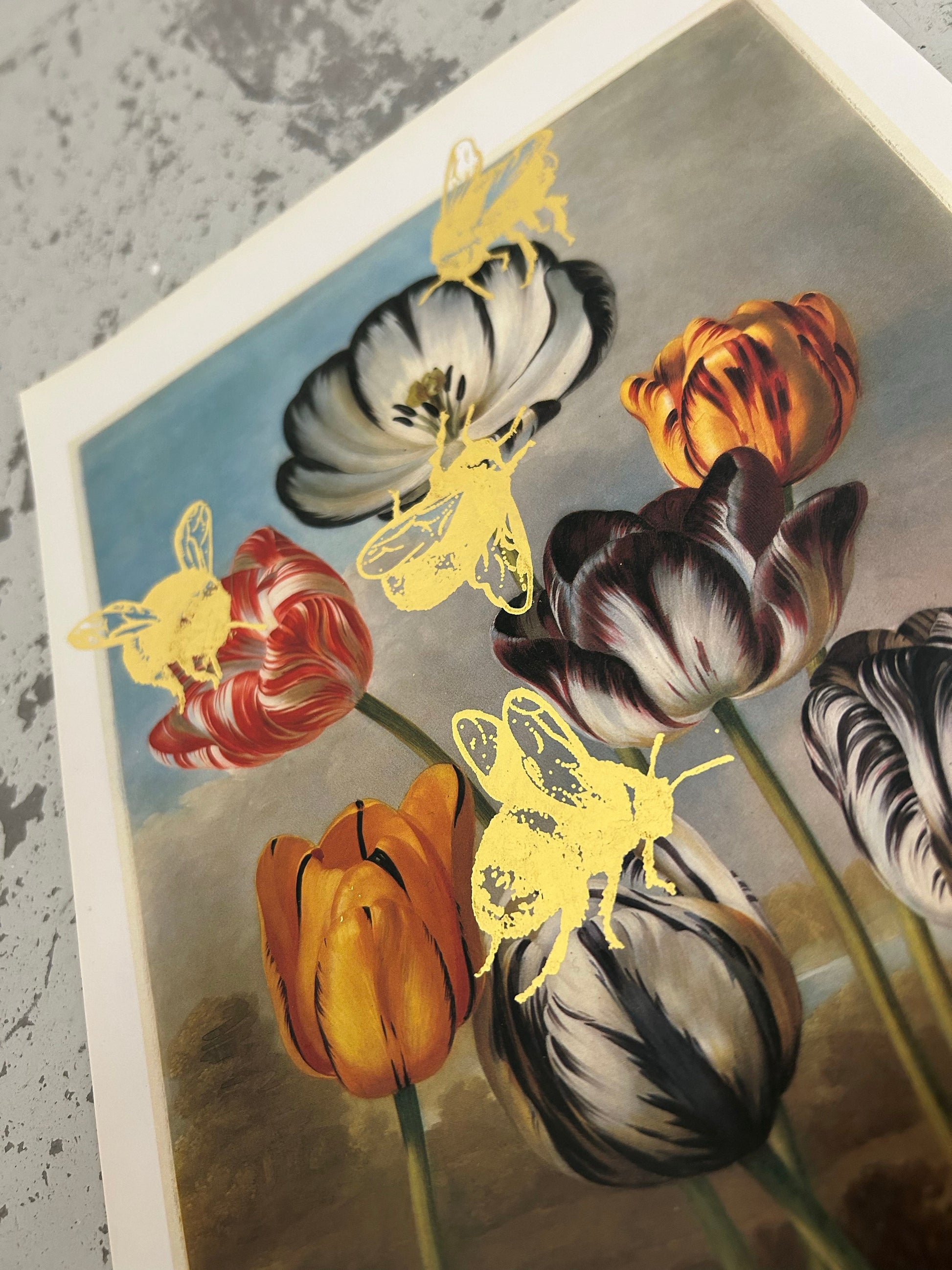 MORE BEES PLEASE #8 by Gungho London - Bare Fashion