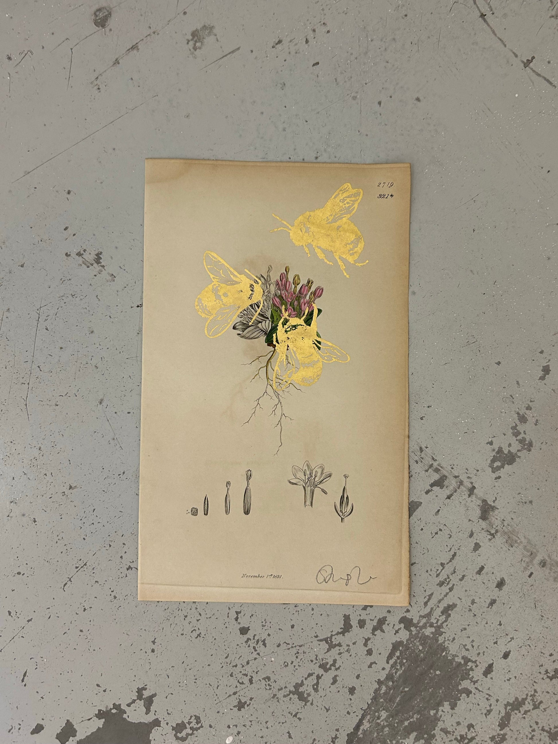 MORE BEES PLEASE #12 by Gungho London - Bare Fashion