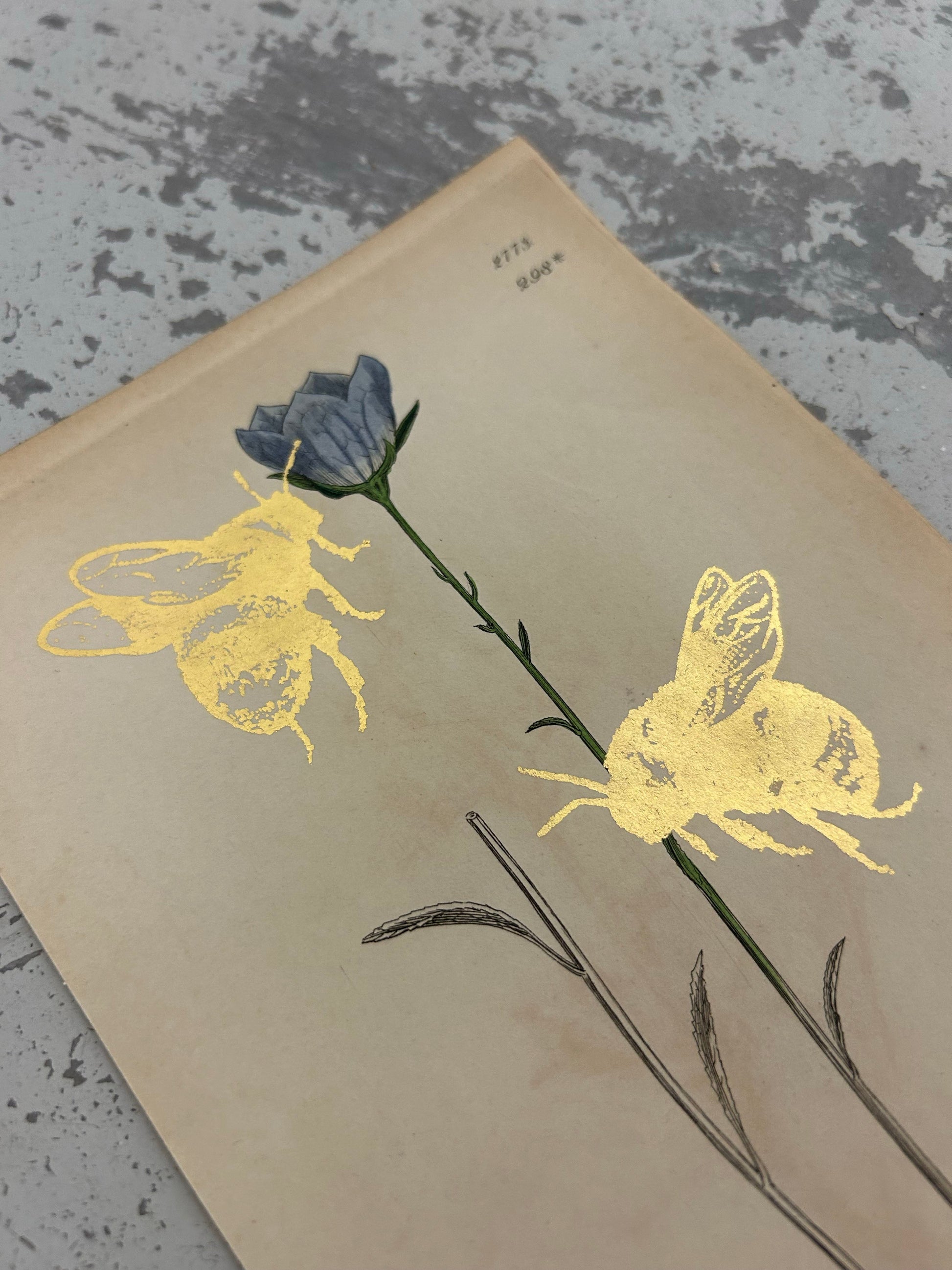 MORE BEES PLEASE #14 by Gungho London - Bare Fashion