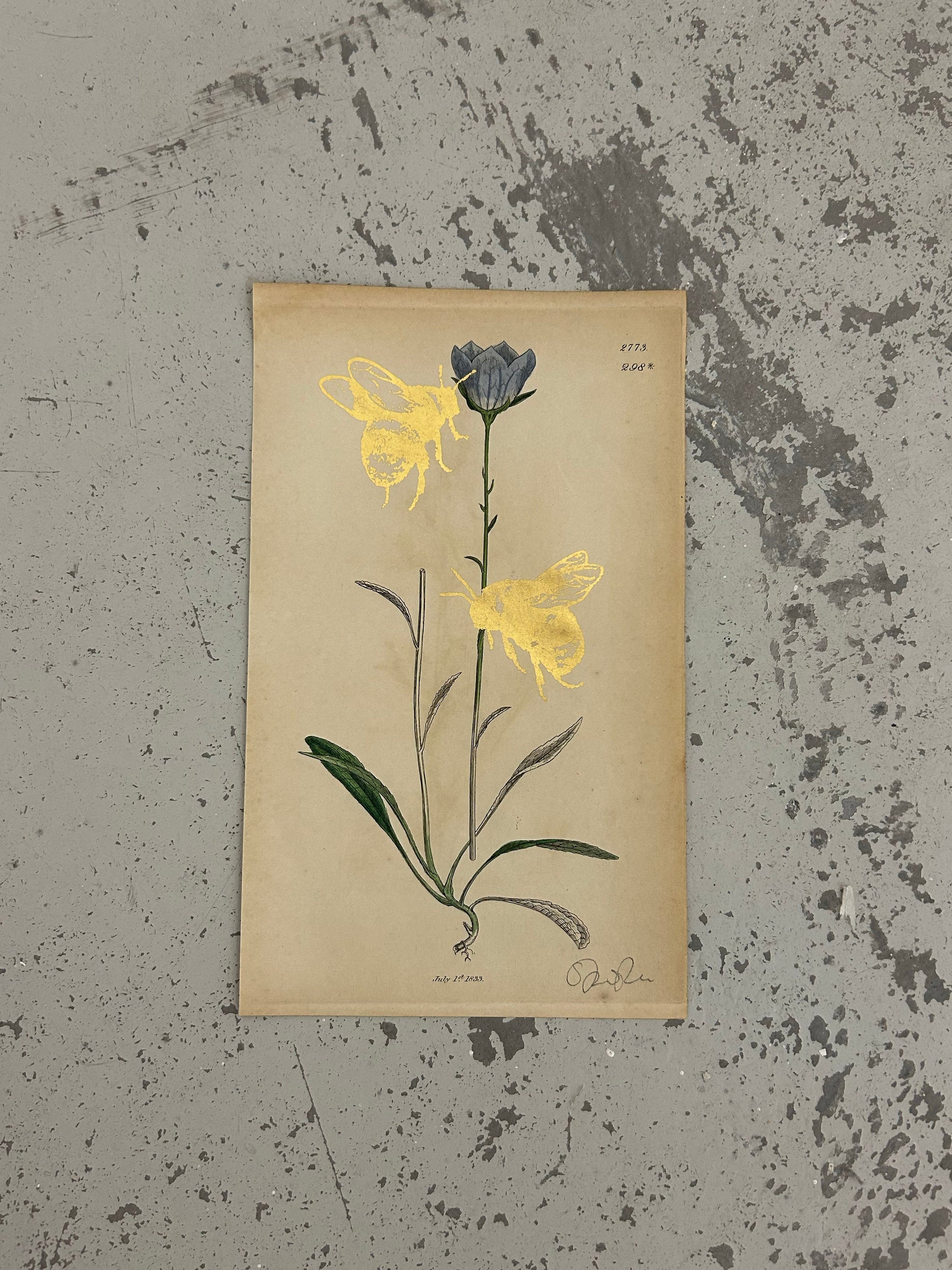 MORE BEES PLEASE #14 by Gungho London - Bare Fashion