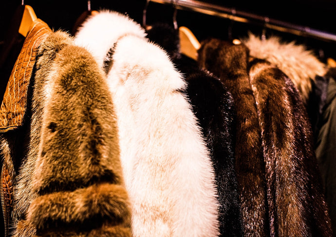 California becomes first US state to ban the sale of animal fur