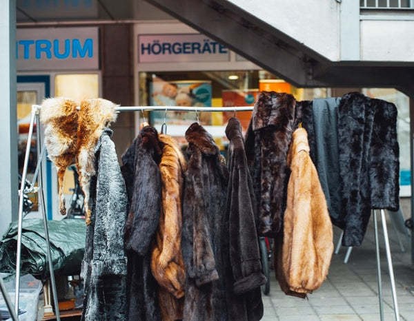 Slovak parliament passes historic fur farming ban