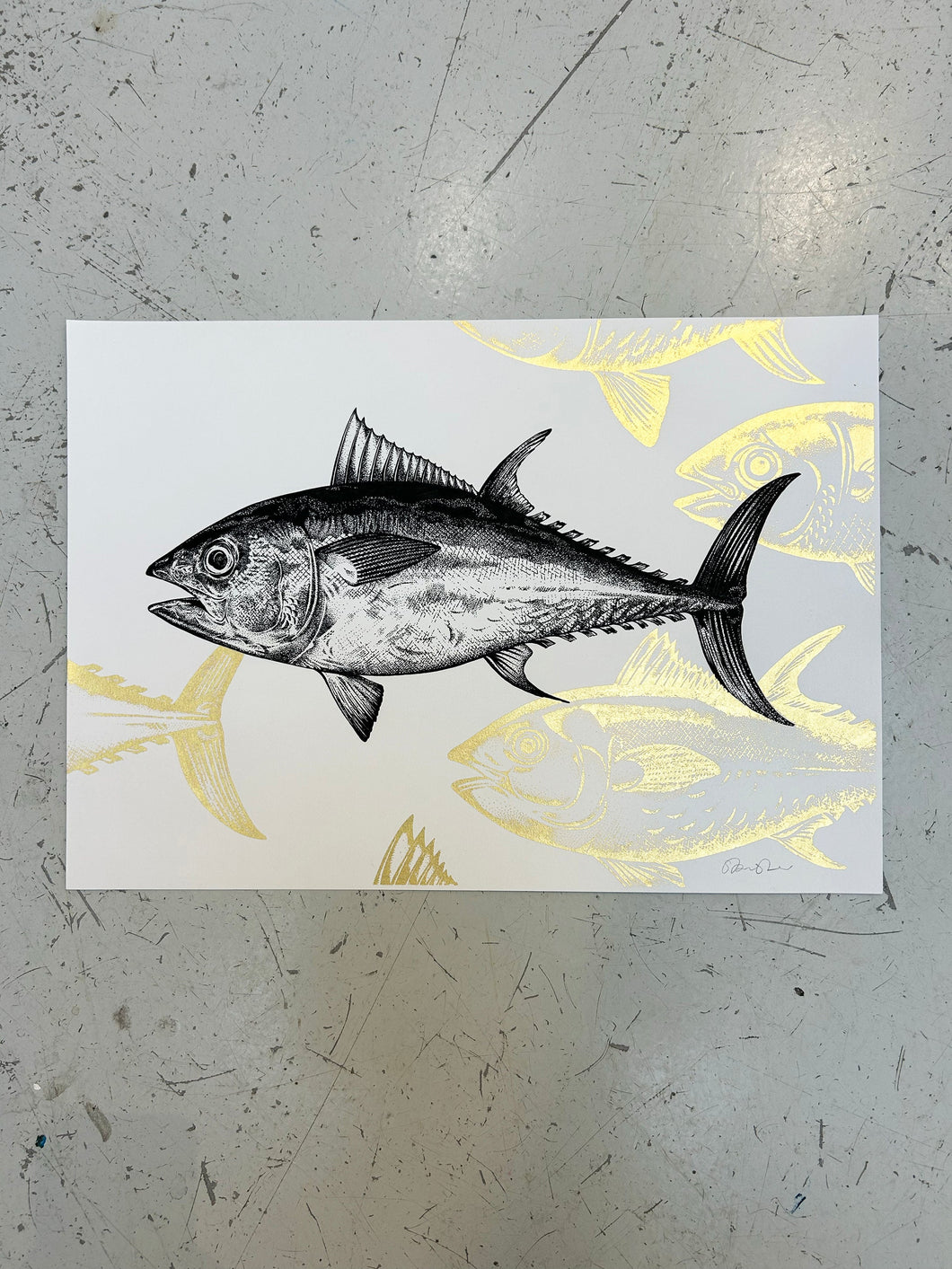 BLUEFIN TUNA - ORIGINAL DRAWING by Gungho London - Bare Fashion