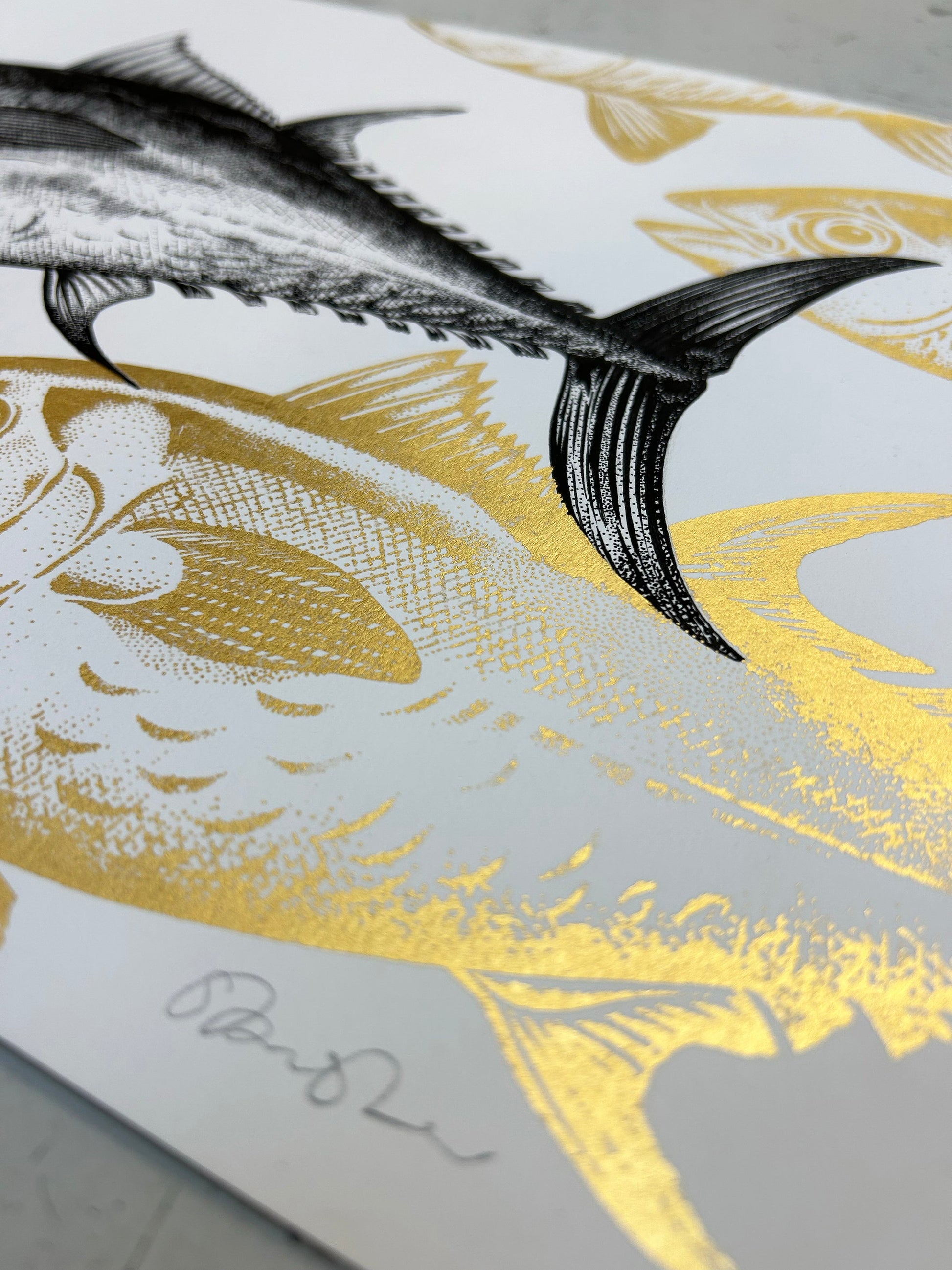 BLUEFIN TUNA - ORIGINAL DRAWING by Gungho London - Bare Fashion