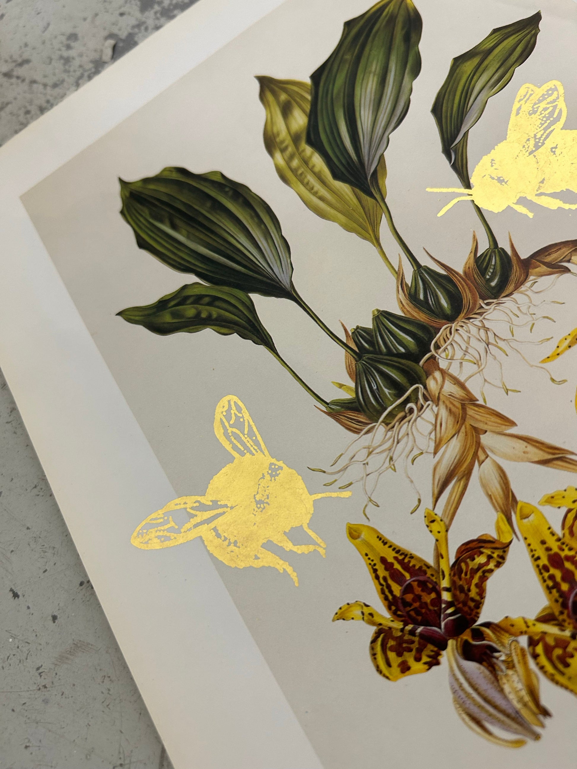 MORE BEES PLEASE #10 by Gungho London - Bare Fashion