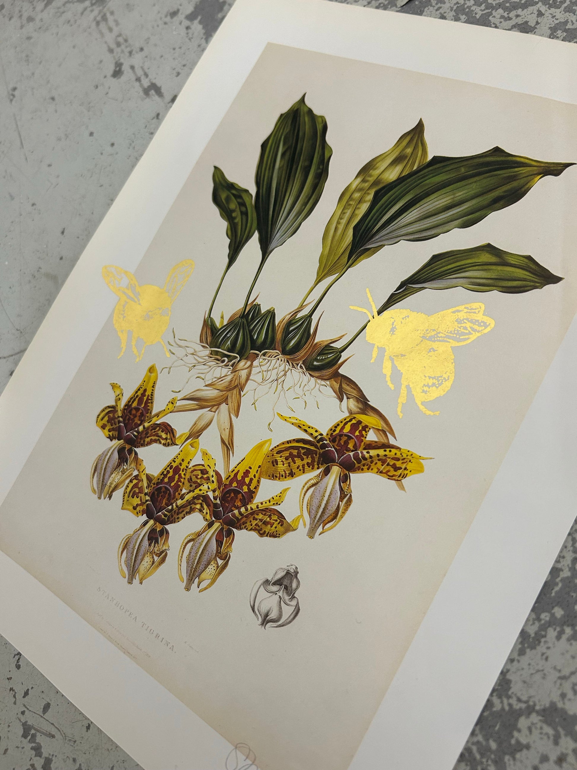 MORE BEES PLEASE #10 by Gungho London - Bare Fashion