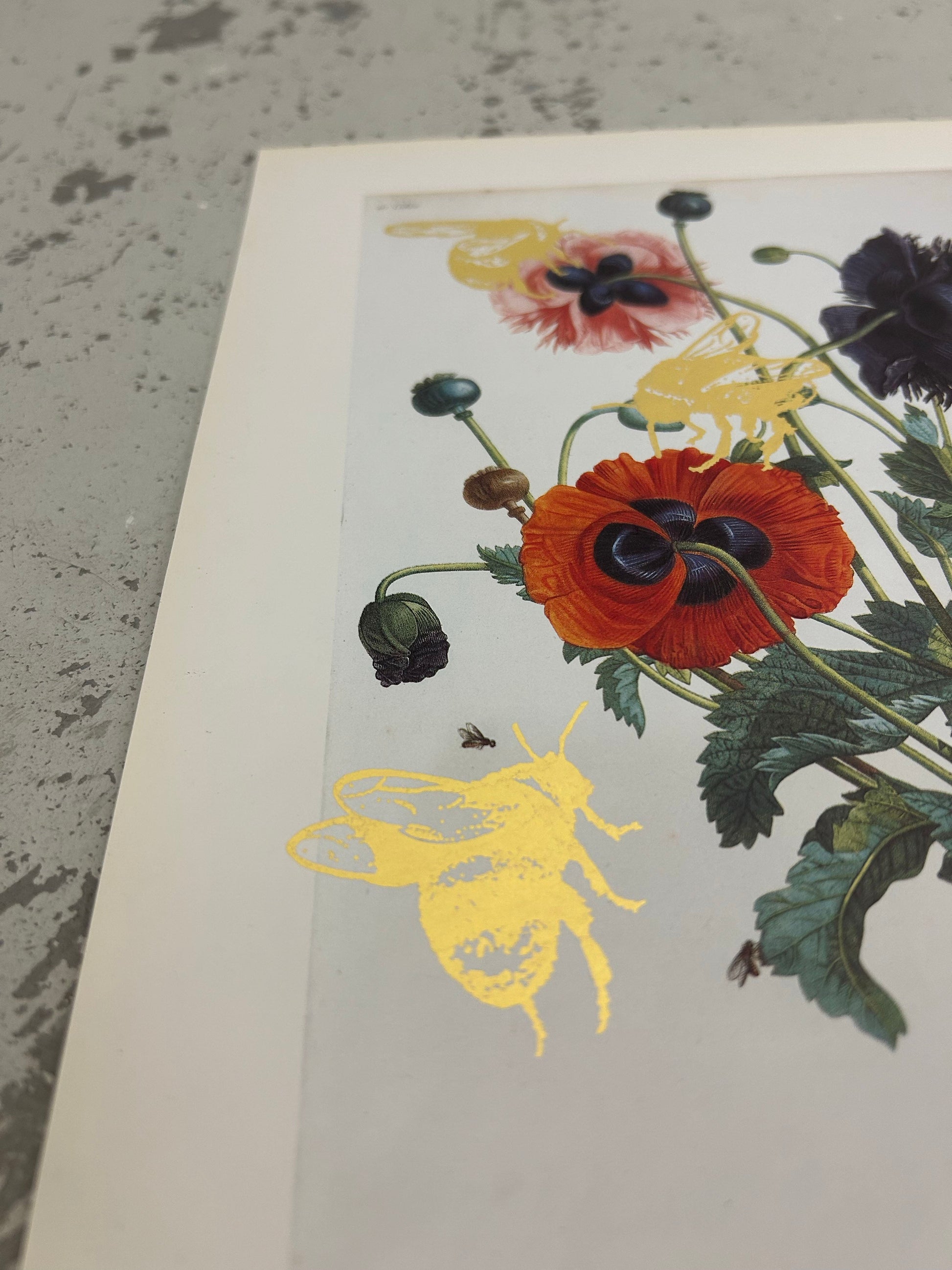 MORE BEES PLEASE #1 by Gungho London - Bare Fashion