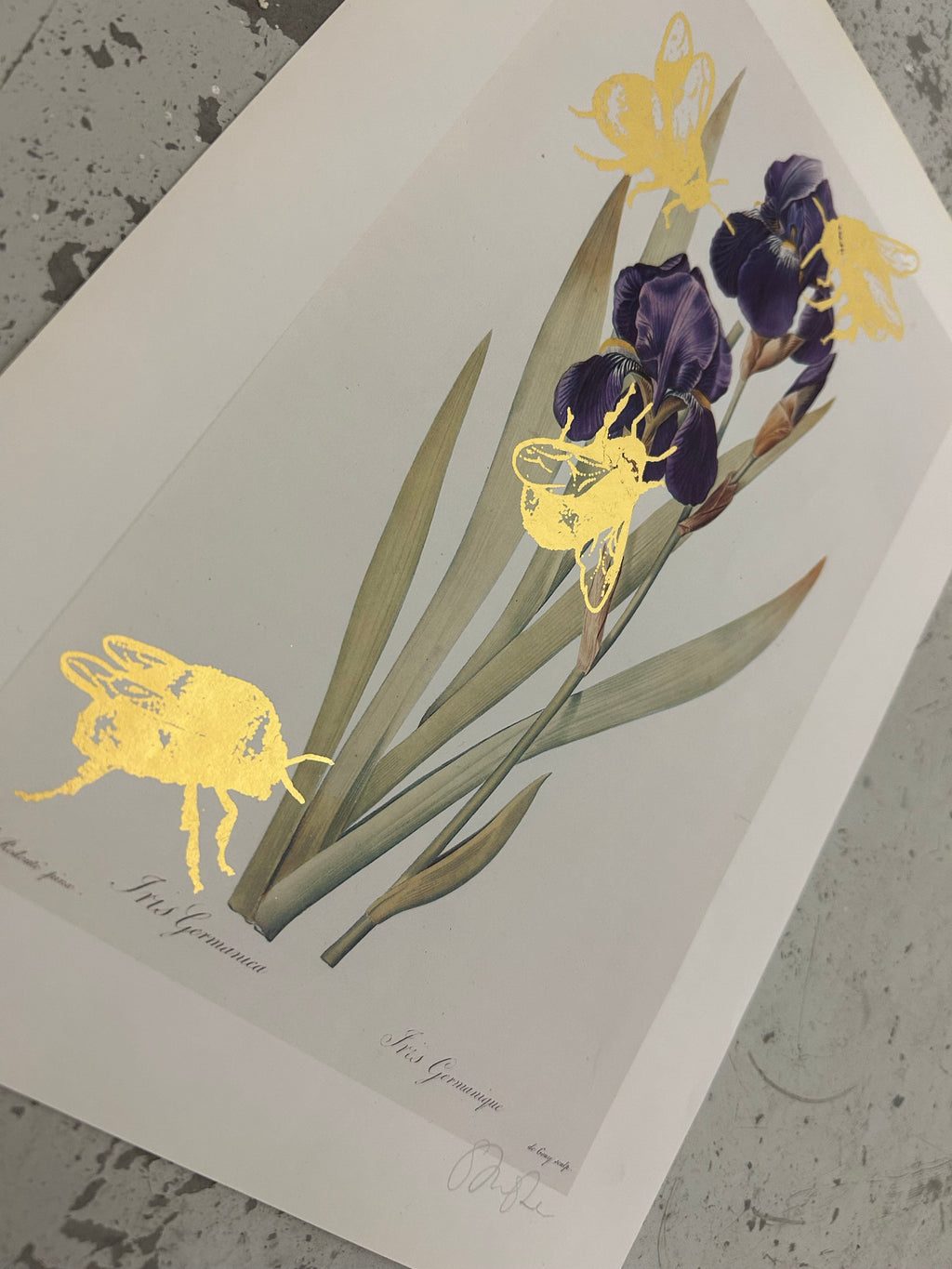 MORE BEES PLEASE #2 by Gungho London - Bare Fashion