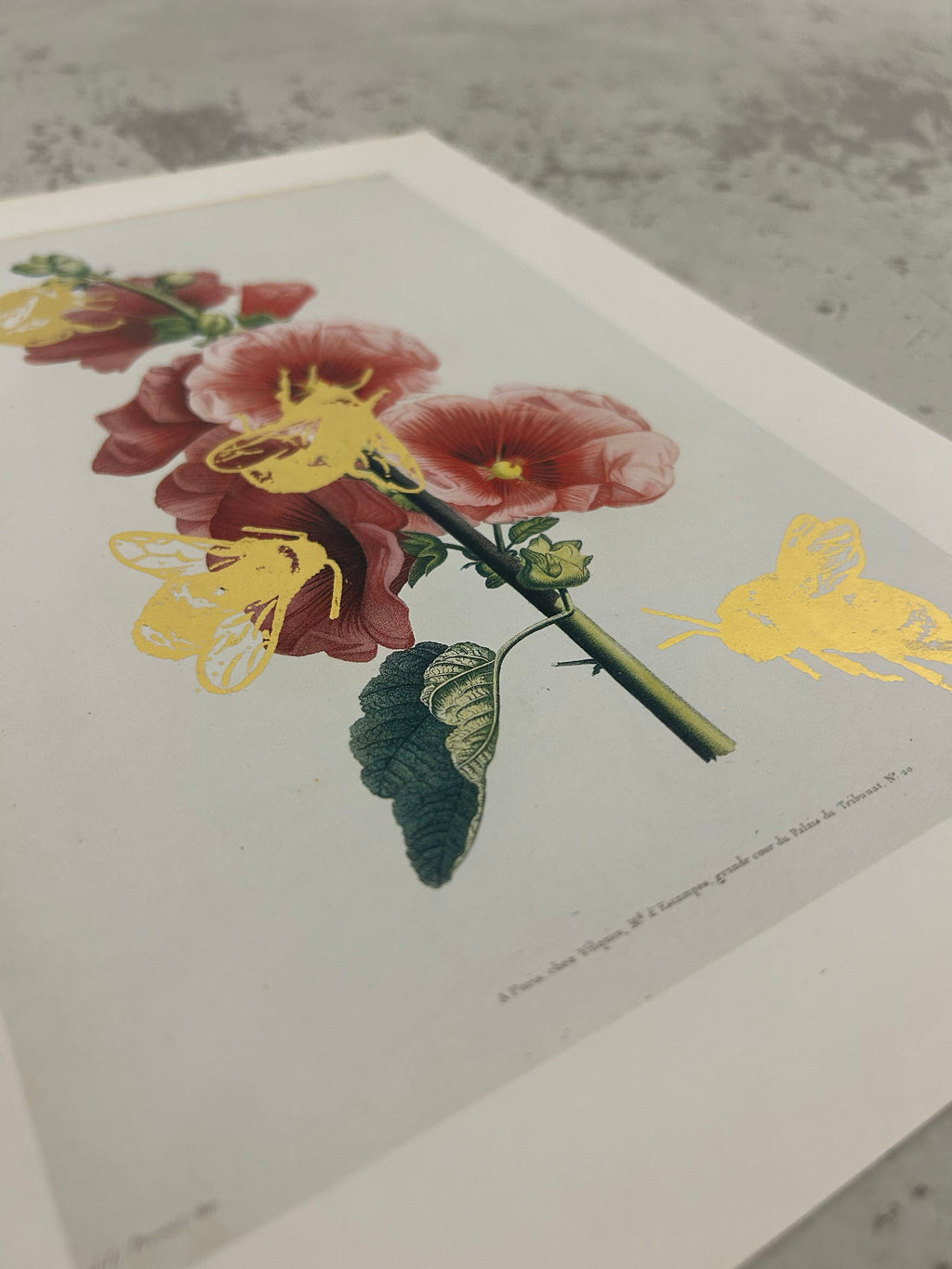 MORE BEES PLEASE #4 by Gungho London - Bare Fashion