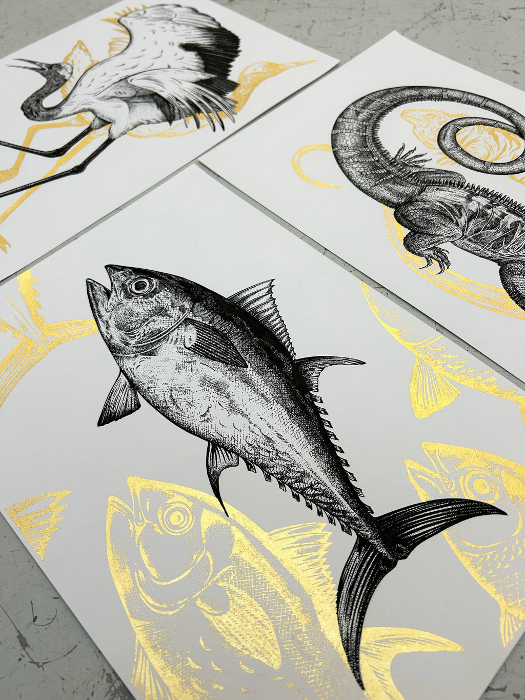 BLUEFIN TUNA - ORIGINAL DRAWING by Gungho London - Bare Fashion