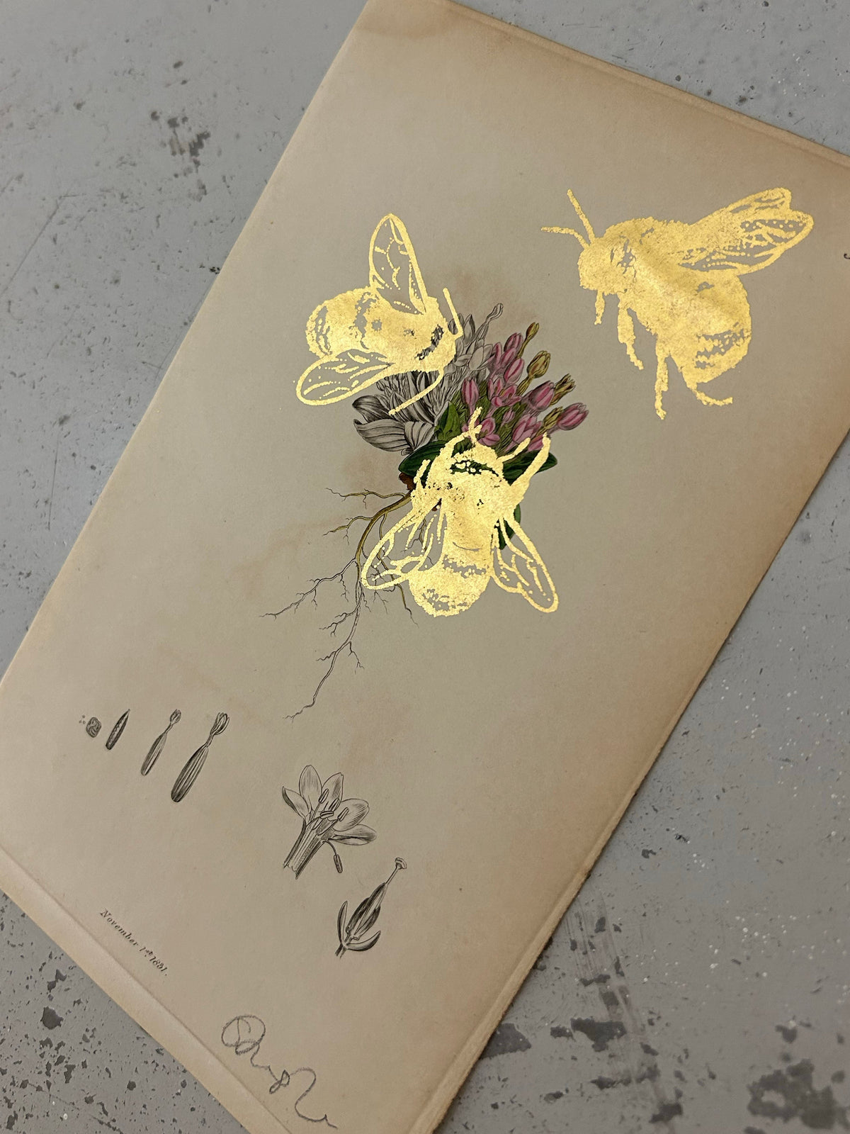 MORE BEES PLEASE #12 by Gungho London - Bare Fashion