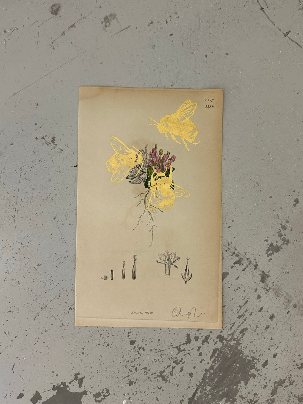 MORE BEES PLEASE #12 by Gungho London - Bare Fashion