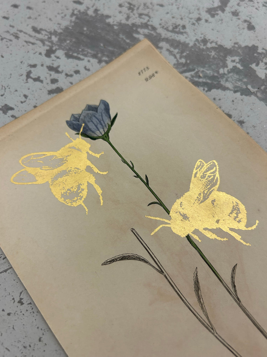 MORE BEES PLEASE #14 by Gungho London - Bare Fashion
