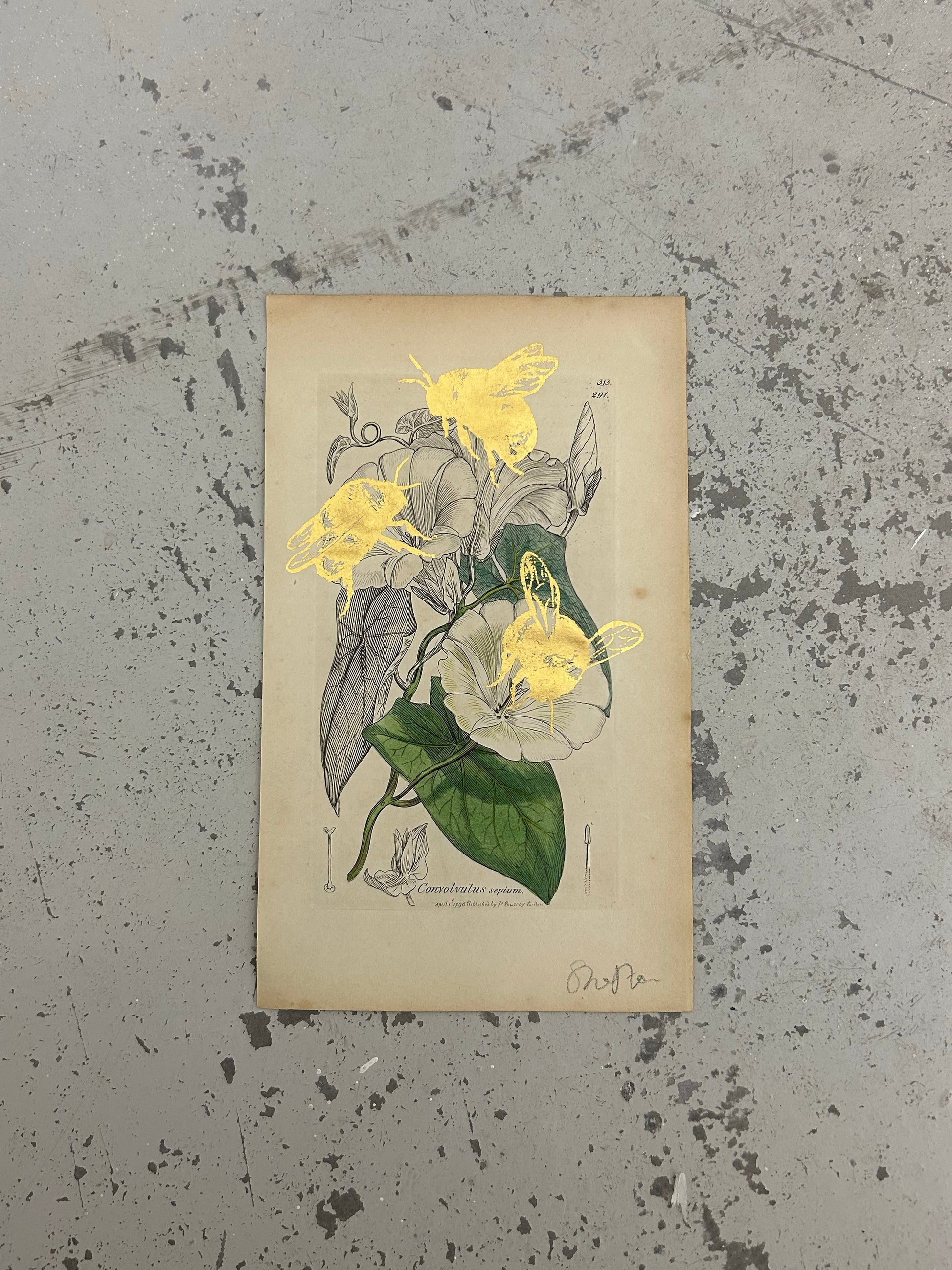 MORE BEES PLEASE #15 by Gungho London - Bare Fashion