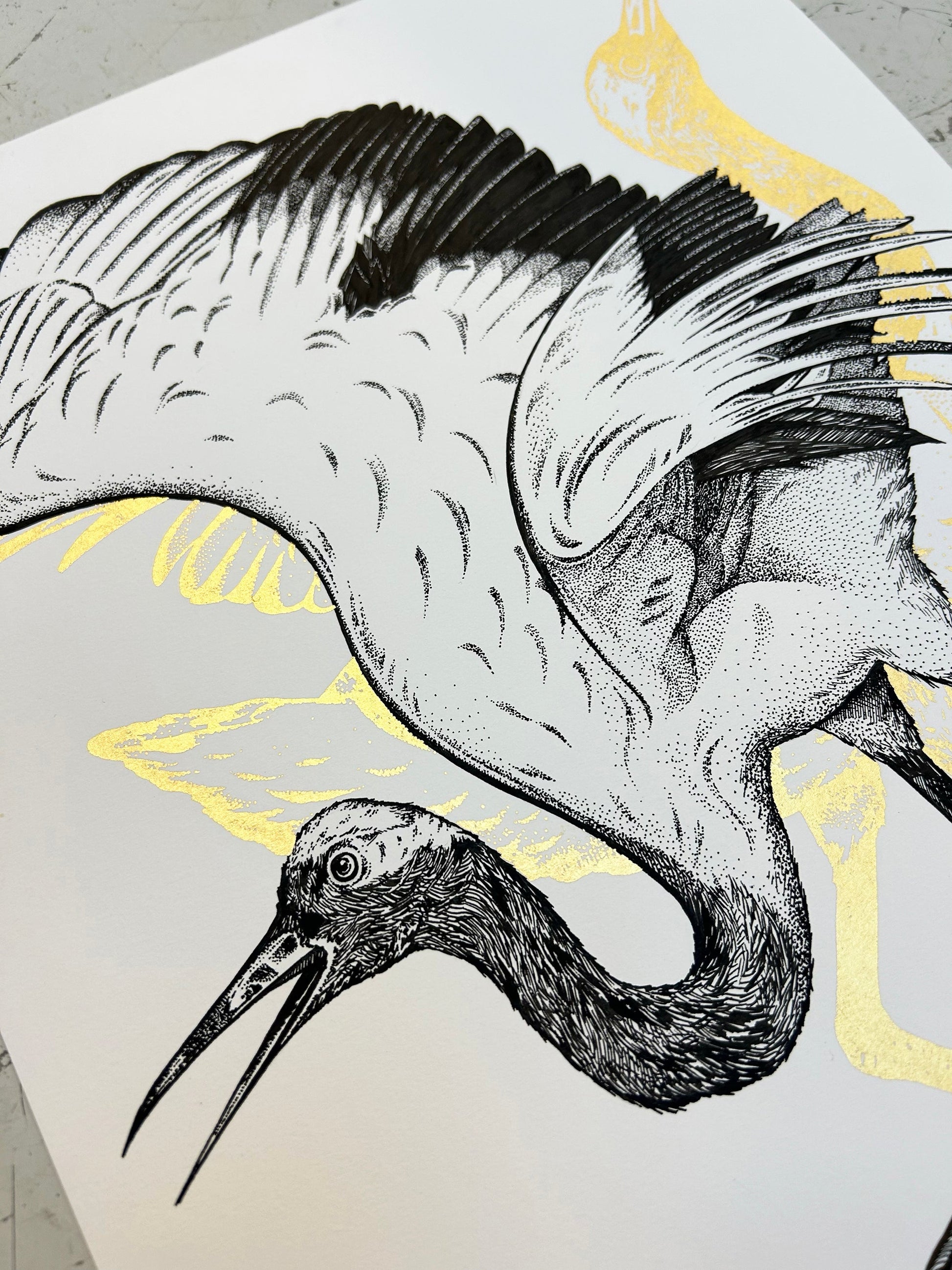 WHOOPING CRANE - ORIGINAL DRAWING by Gungho London - Bare Fashion